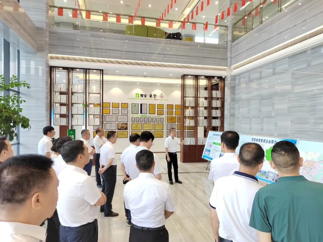 打造“三個(gè)高地”走在前列！株洲市區(qū)兩級領(lǐng)導(dǎo)一行走進(jìn)雪寶